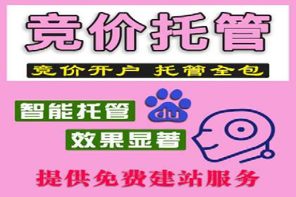 SEM专员案例深度解读