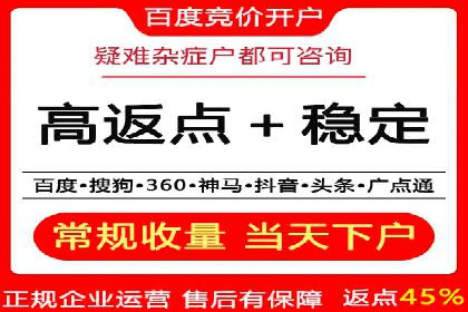 SEM广告案例：数据分析驱动营销决策